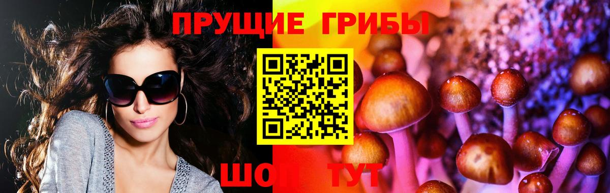 Мценск  Псилоцибиновые грибы прущие грибы  Вход с VPN 