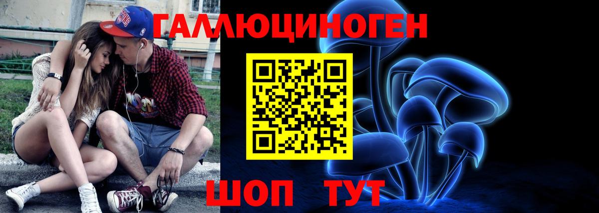 Псилоцибиновые грибы Cubensis Мценск